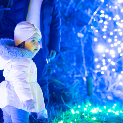 A Magical Christmas Wonderland in Waterford for All Generations of the Family
